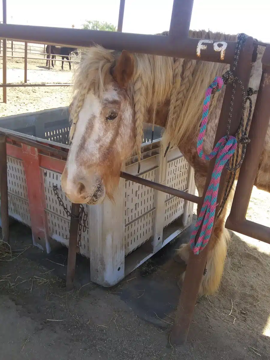 Teens Living Clean - Thumbnail 5