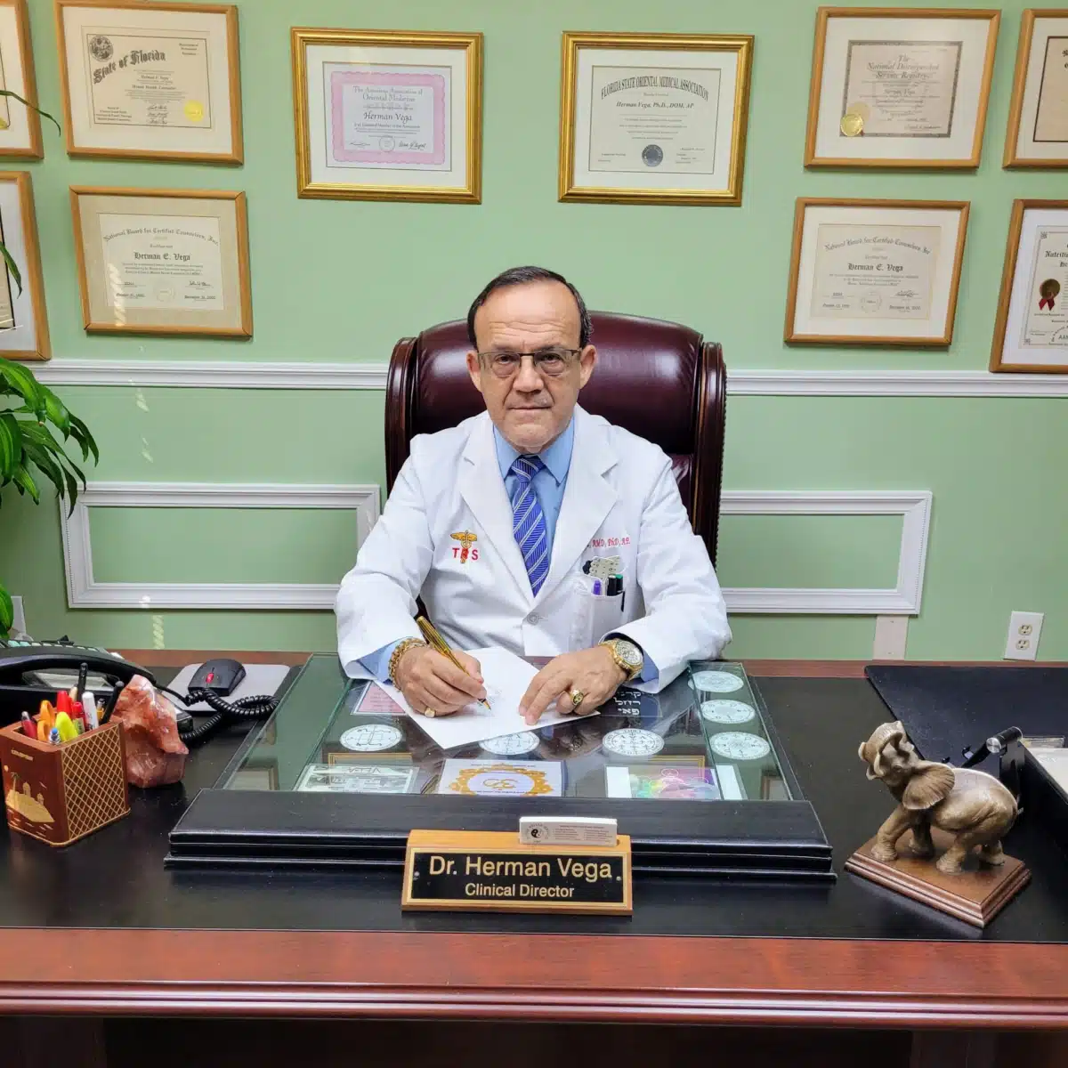 Total Rehab Services - Thumbnail 10