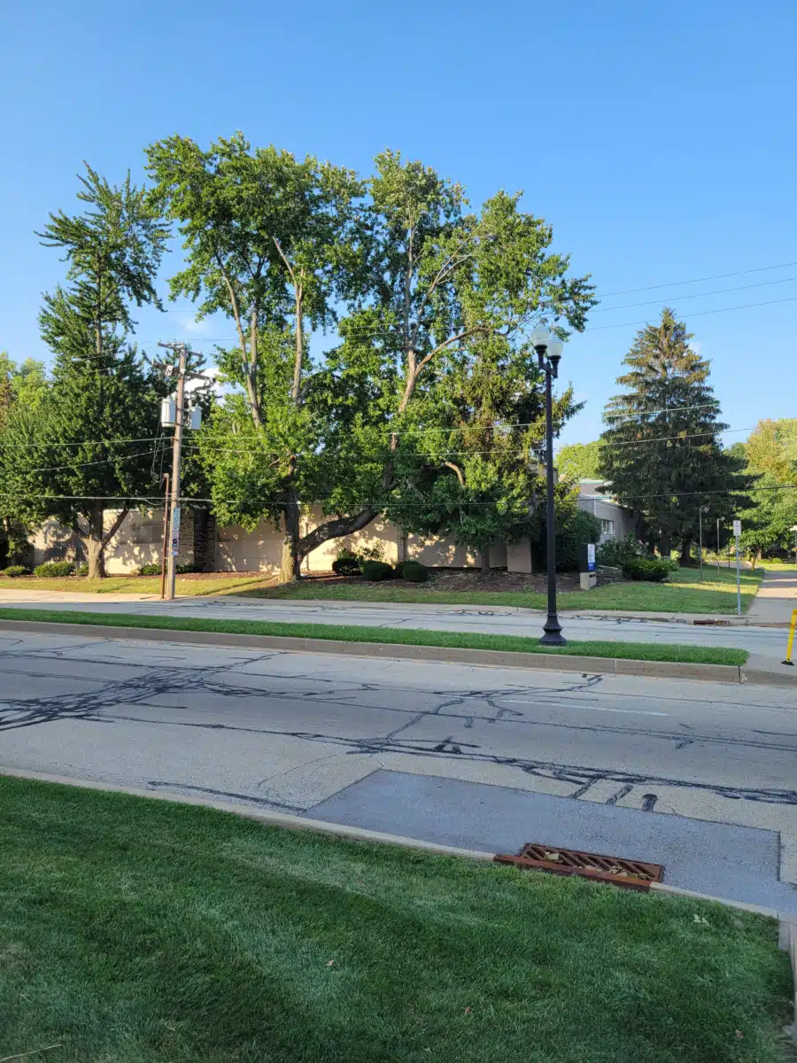 Trillium Place Hamilton - Thumbnail 6