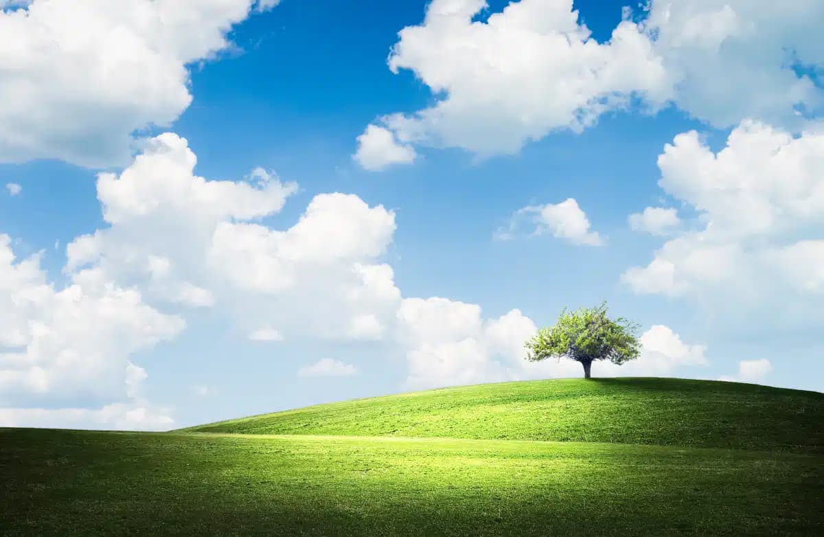 Tueller Counseling - Thumbnail 6