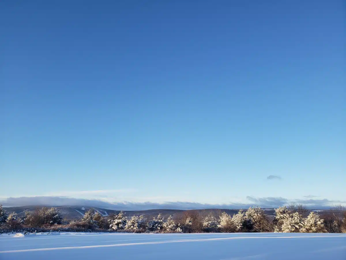 Tully Hill Corporation - Thumbnail 4