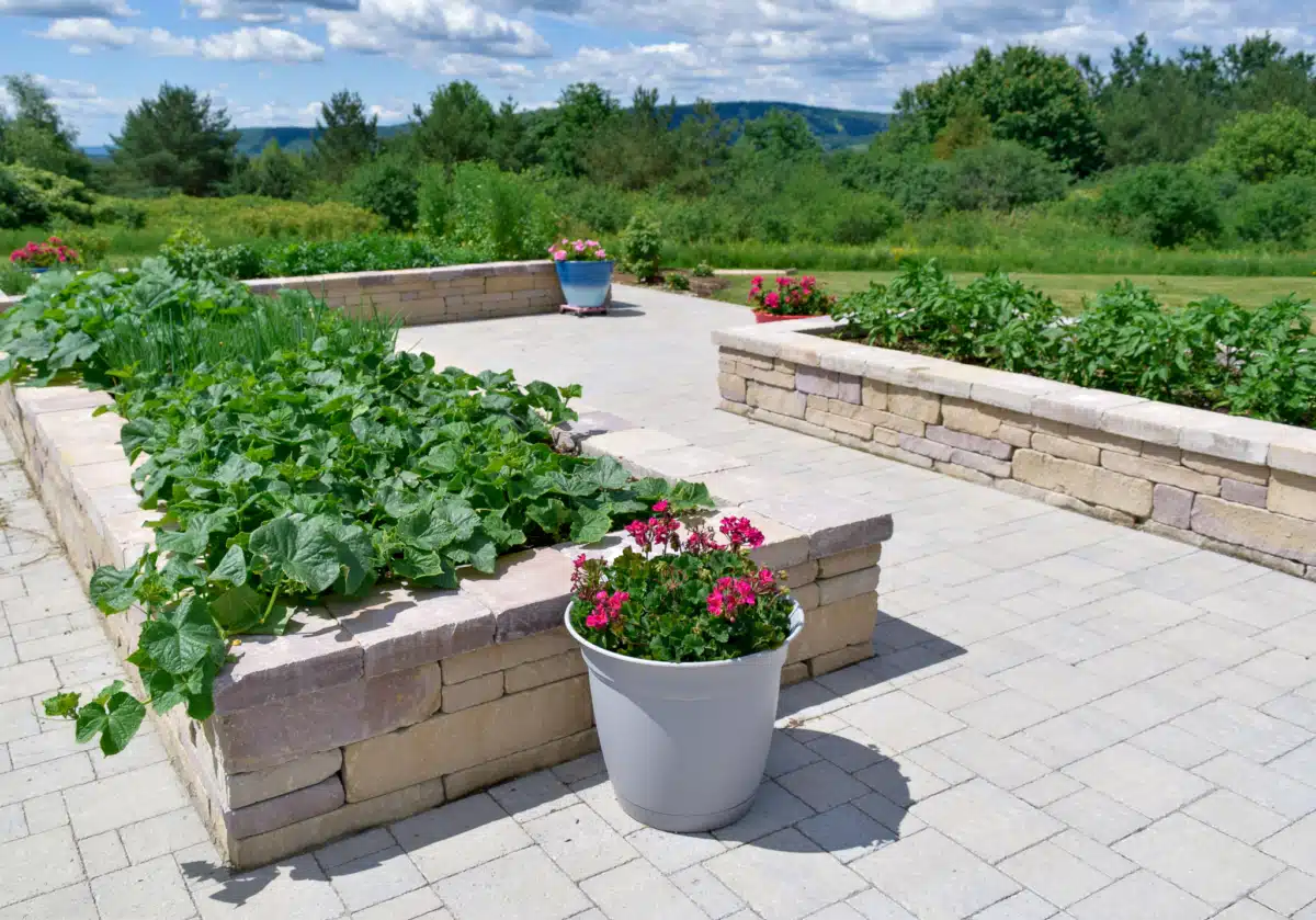 Tully Hill Corporation - Thumbnail 7