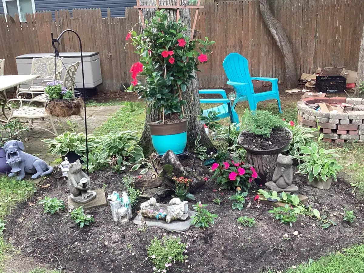 University Hospital/Stony Brook ELIH - Thumbnail 4