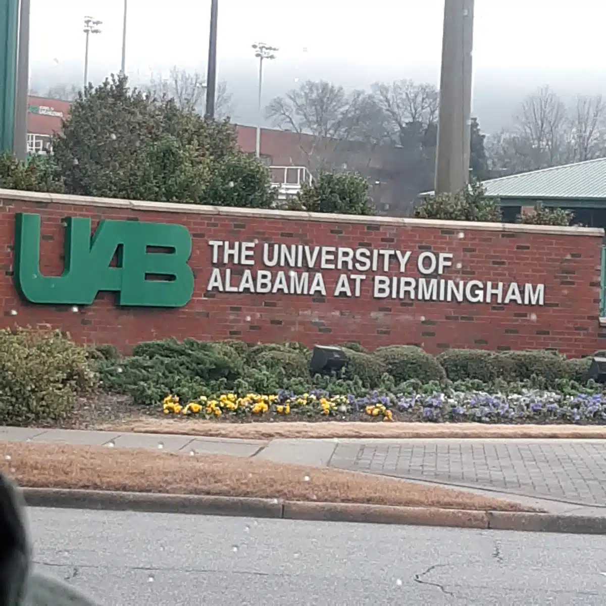 University of Alabama at Birmingham - Thumbnail 9