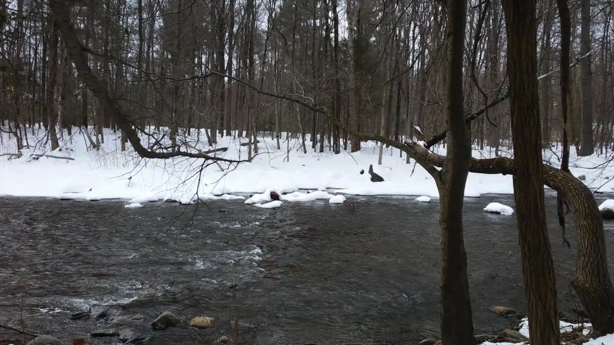 VA Central Western MA HCS - Thumbnail 9