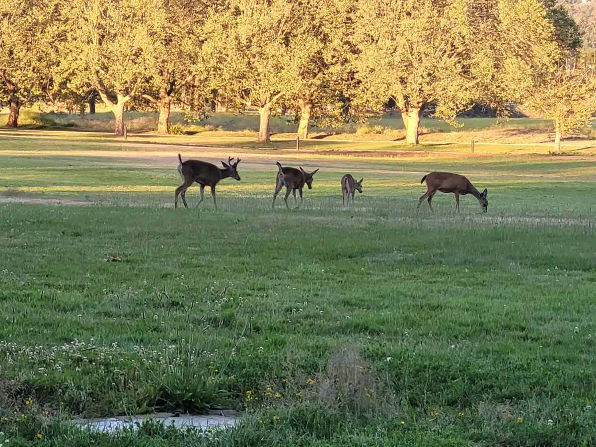 VA Roseburg Healthcare System - Thumbnail 7