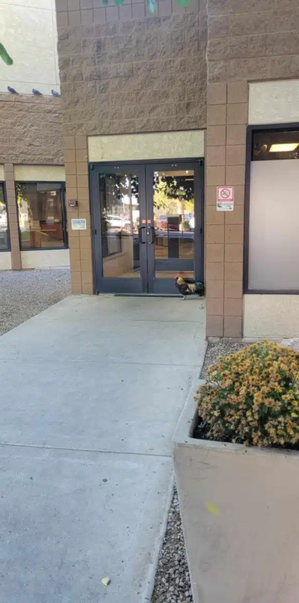 Valley Hospital - Thumbnail 8