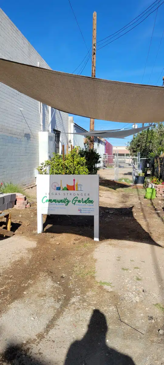 Vegas Stronger - Thumbnail 2