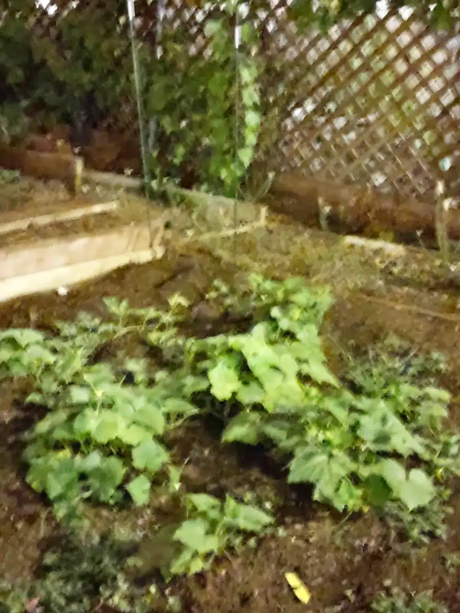 Veterans Village of San Diego - Thumbnail 10