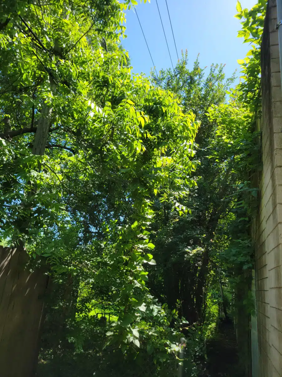 Volunteers of America Texas Inc - Thumbnail 7