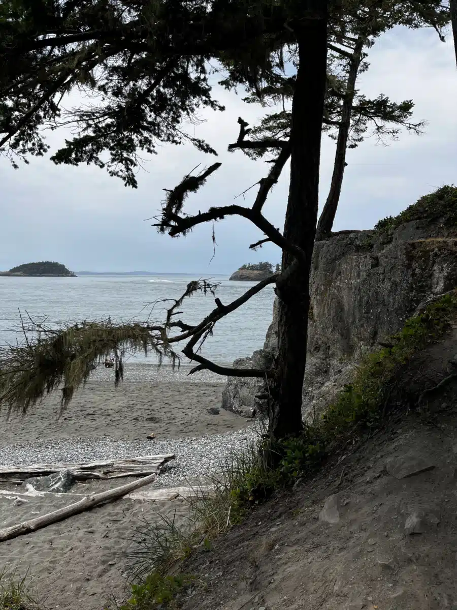 Washington Institute of Addiction Stud - Thumbnail 7