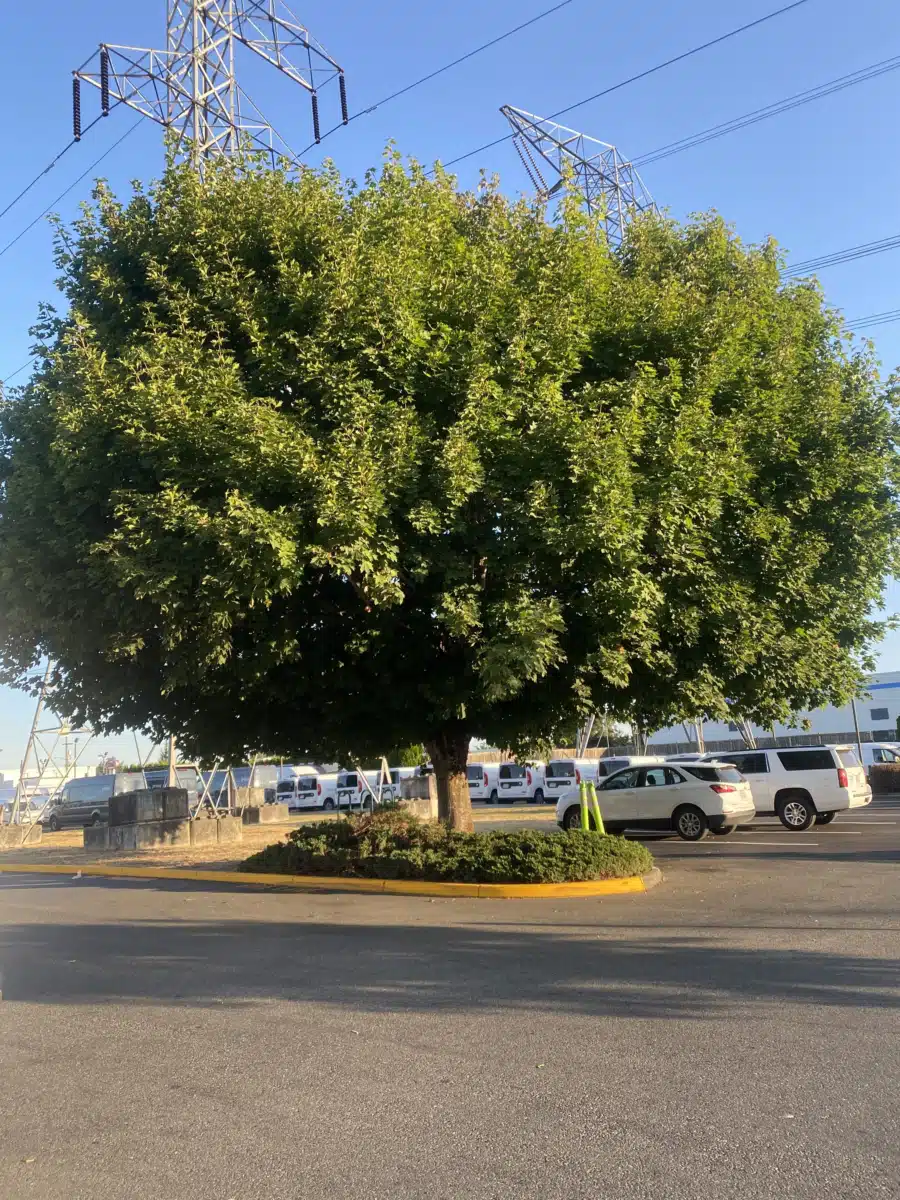 We Care Daily Clinics - Thumbnail 4