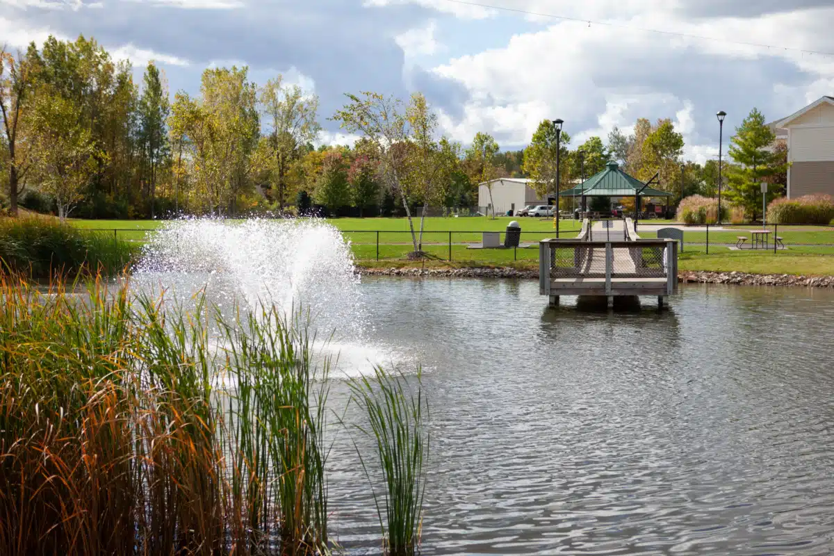 Wedgwood Christian Services - Thumbnail 6