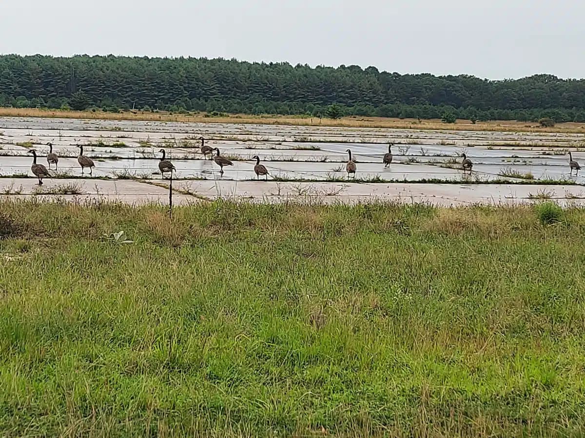 Wellbridge Rehabilitation Program - Thumbnail 9