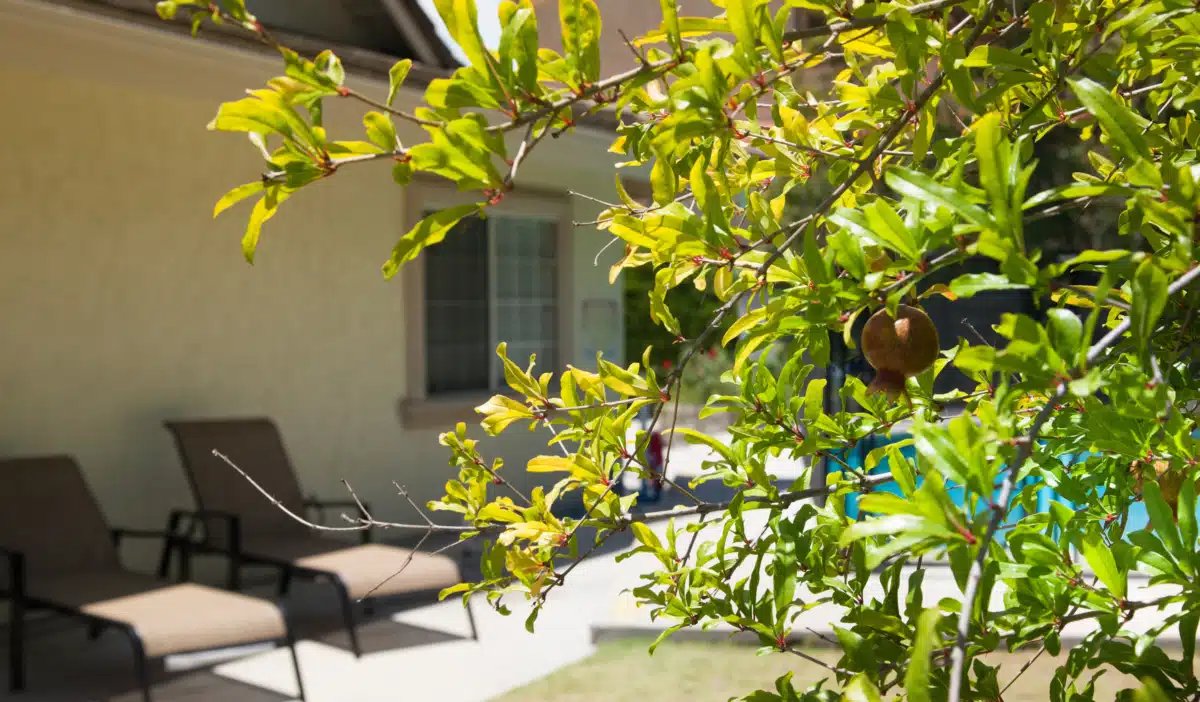 West Valley Detox Treatment - Thumbnail 8