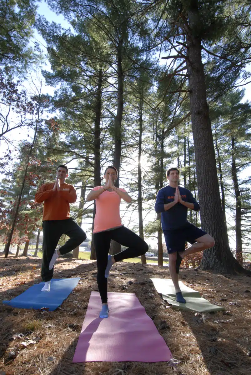 WestBridge - Thumbnail 4