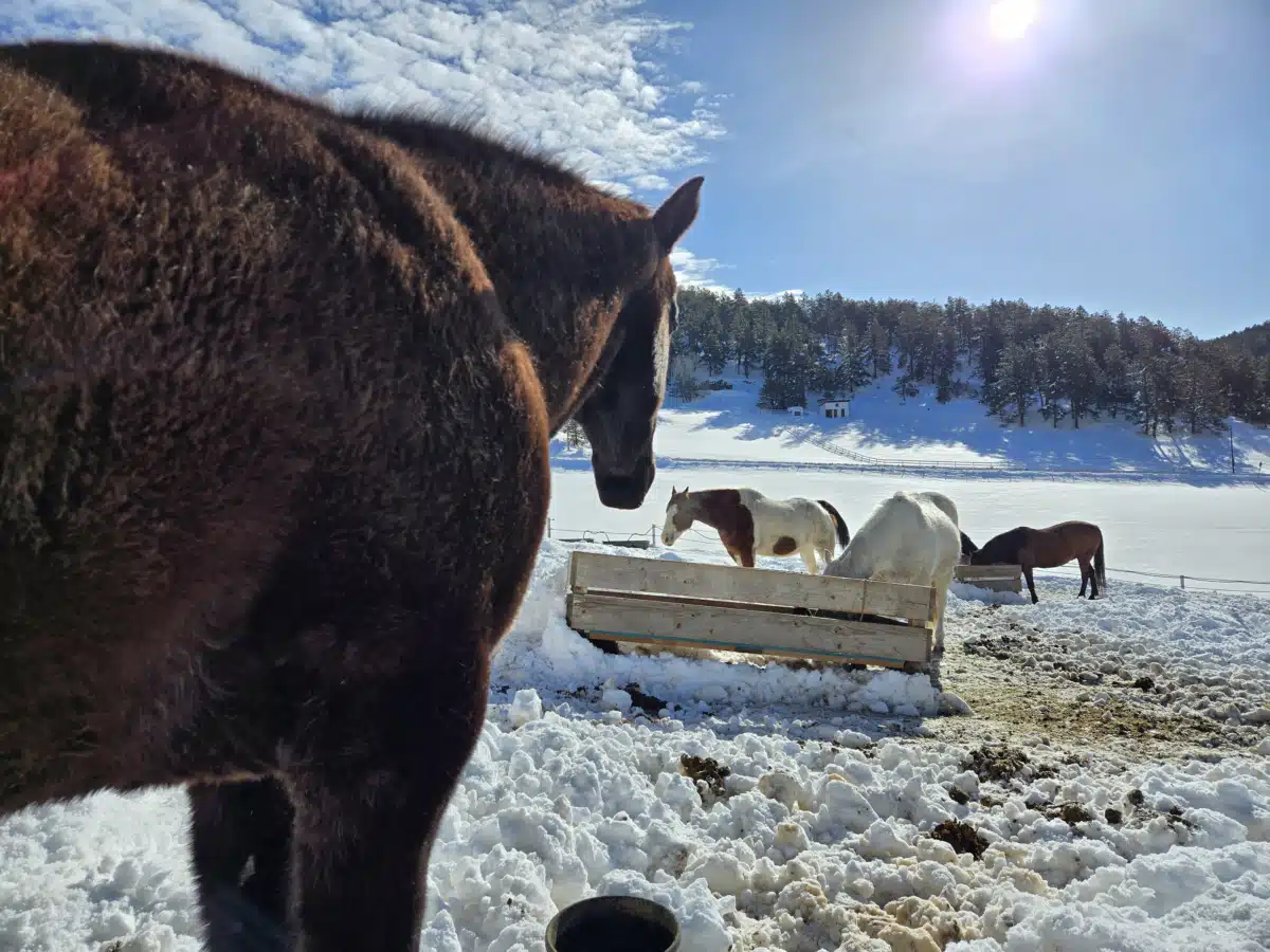 Whats Next Counseling - Thumbnail 6