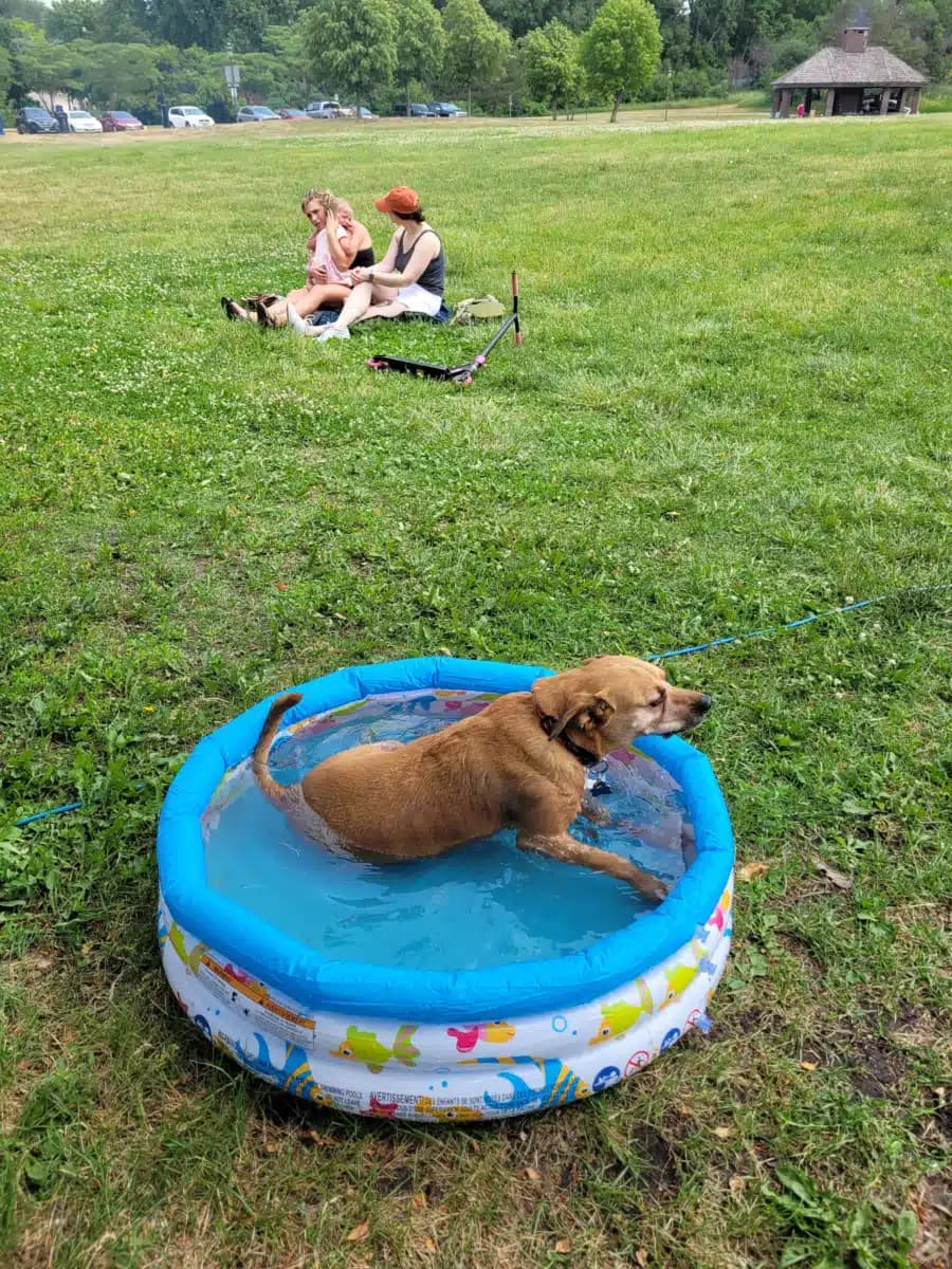 Will Work for Recovery - Thumbnail 6