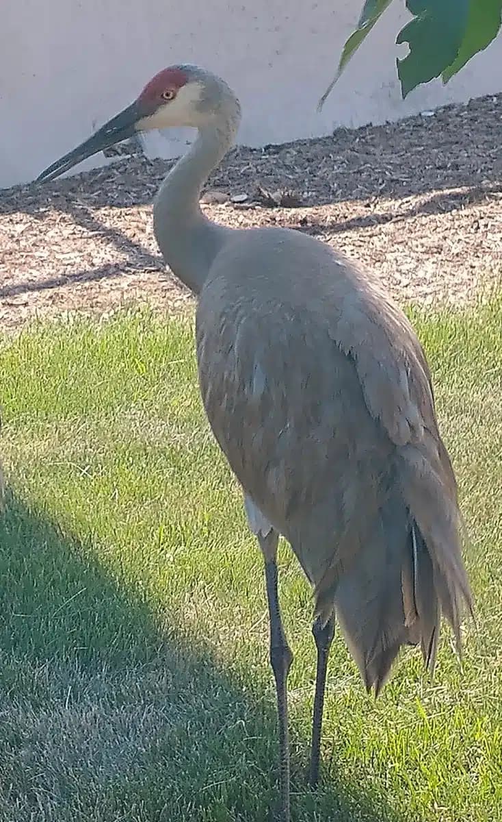 William S Middleton Veterans Hosp - Thumbnail 9