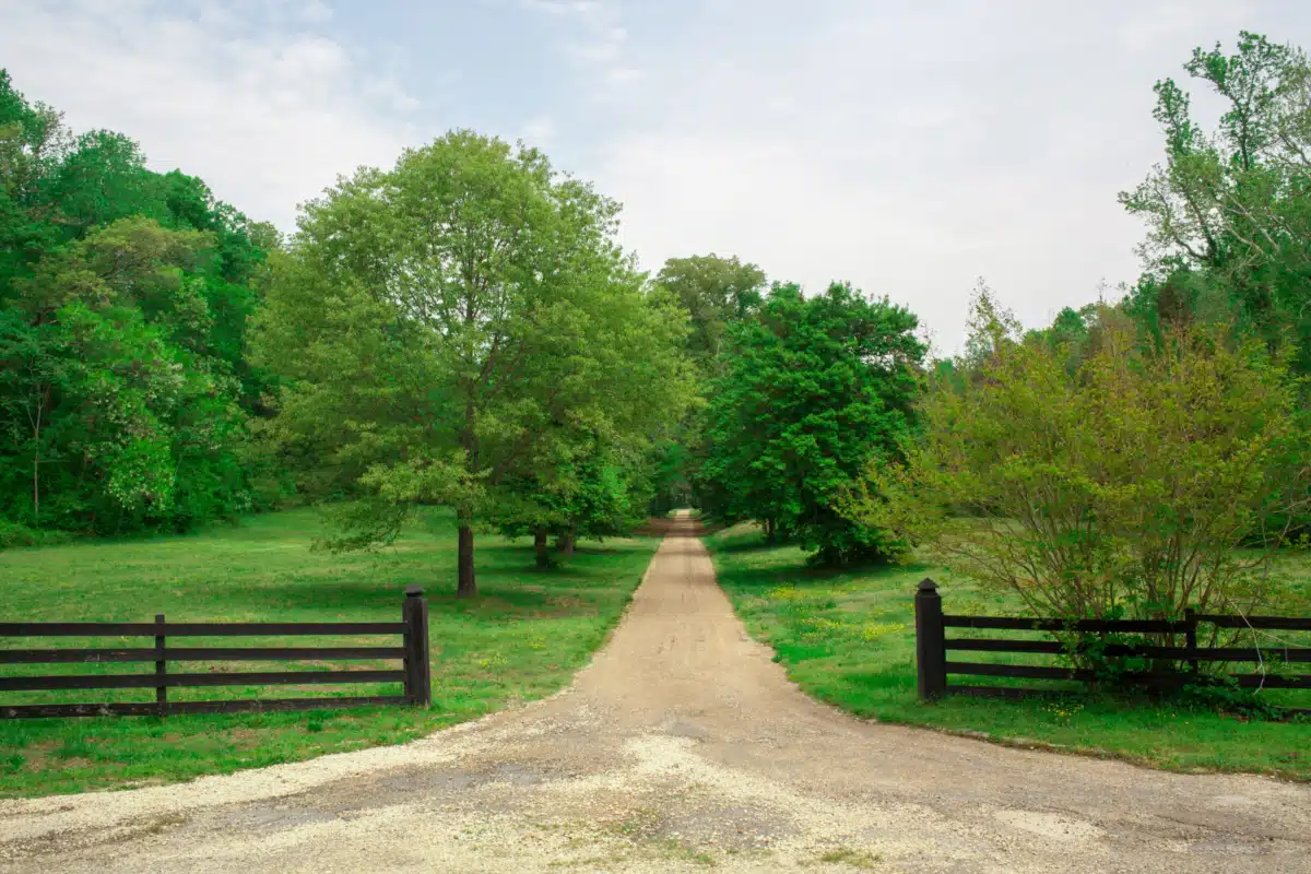 Williamsville Wellness Center - Thumbnail 3