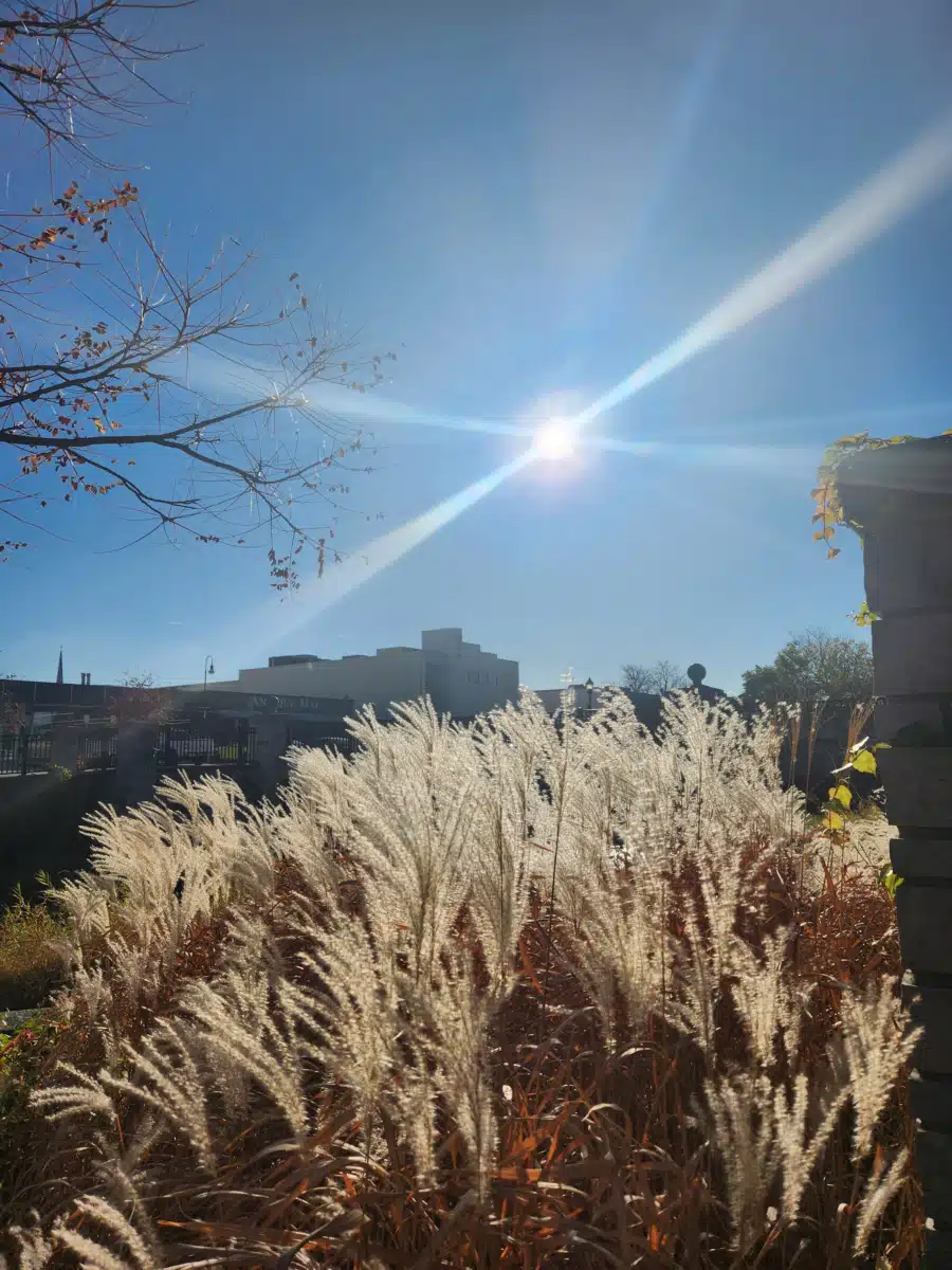 WisHope Recovery Center - Thumbnail 3