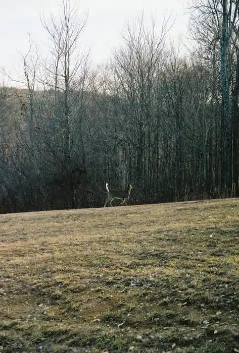 Wooded Glen Recovery Center - Thumbnail 10