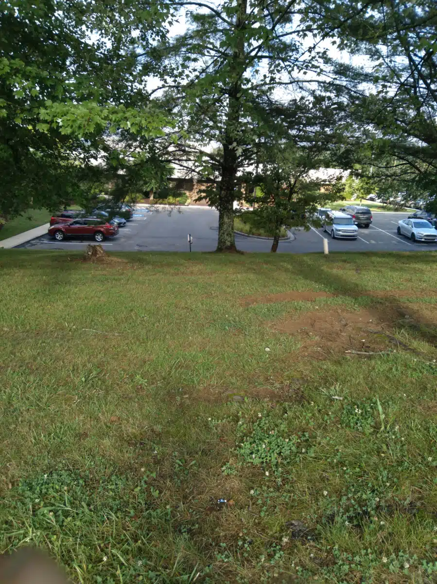 Woodridge Hospital - Thumbnail 2