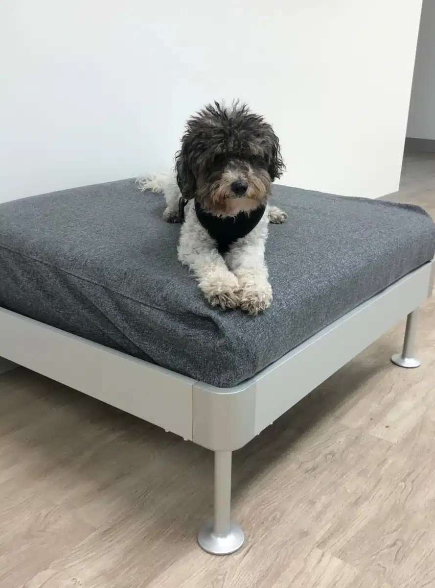 Workit Health MI - Thumbnail 10