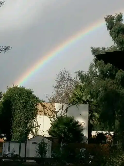 American Indian Changing Spirits