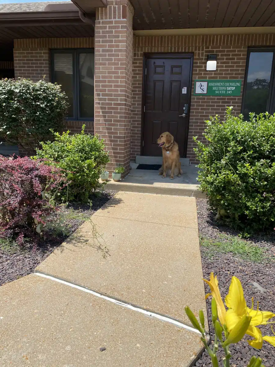 Assessment and Counseling Solutions