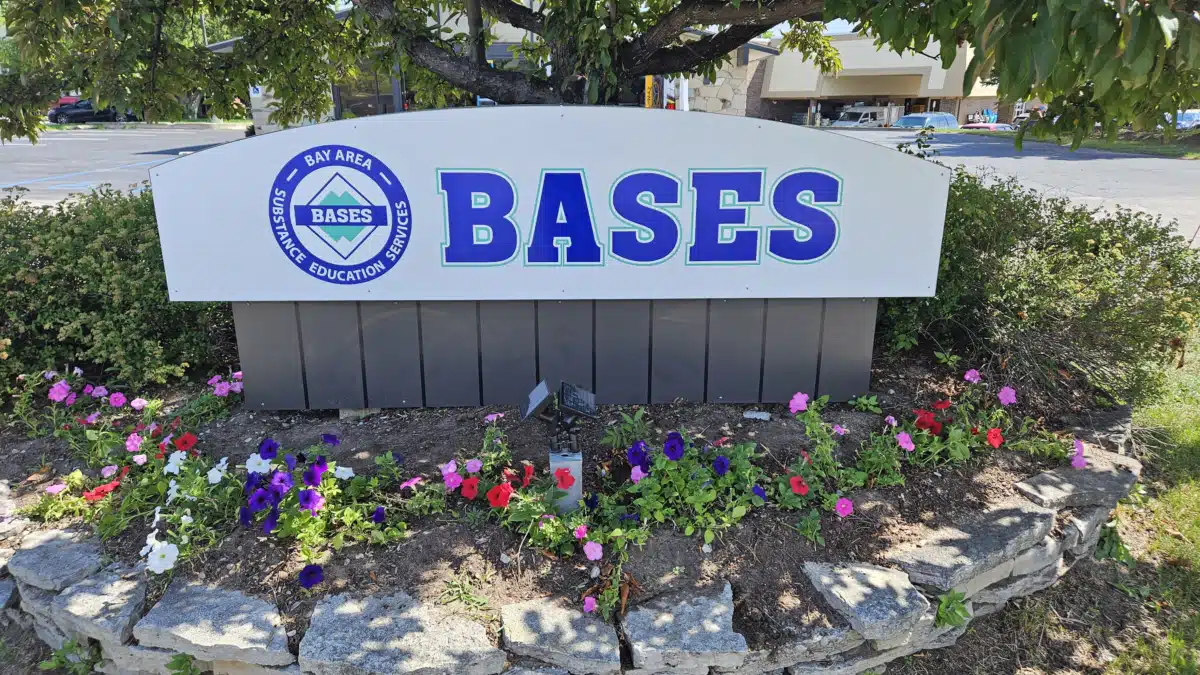 Bay Area Subst Education Servs Inc