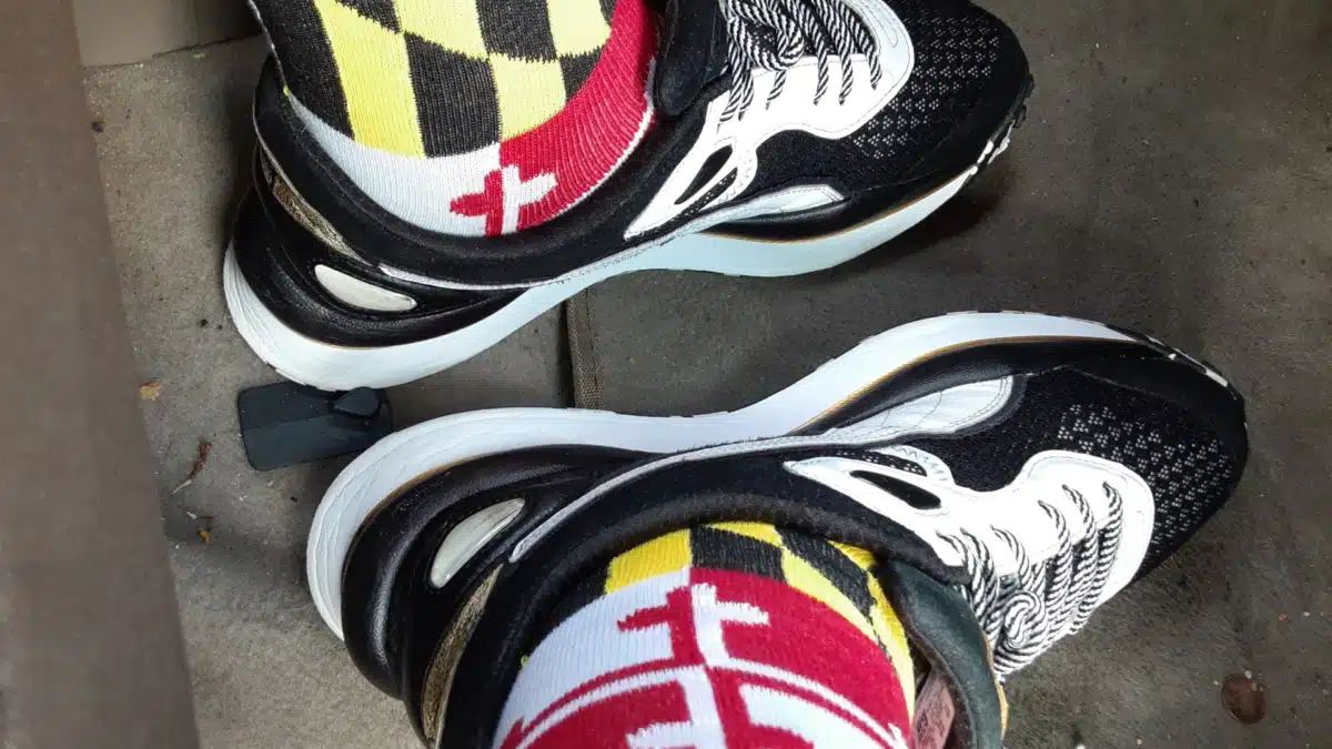 MD Matt LLC - Hero Image