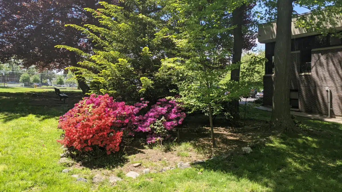 MH Assoc of Westchester Co Inc - Hero Image