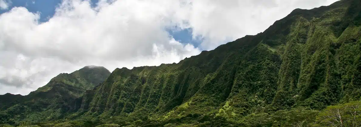 Maui Champ Clinic Inc