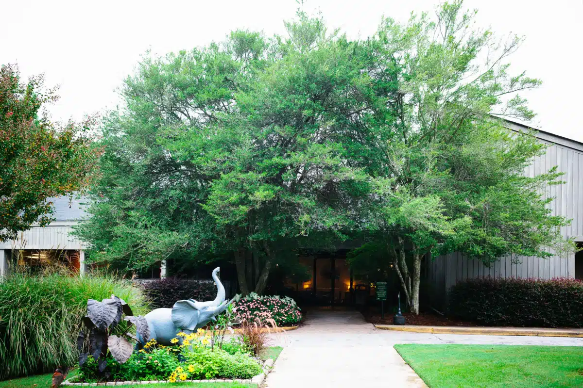 Ridgeview Institute Smyrna