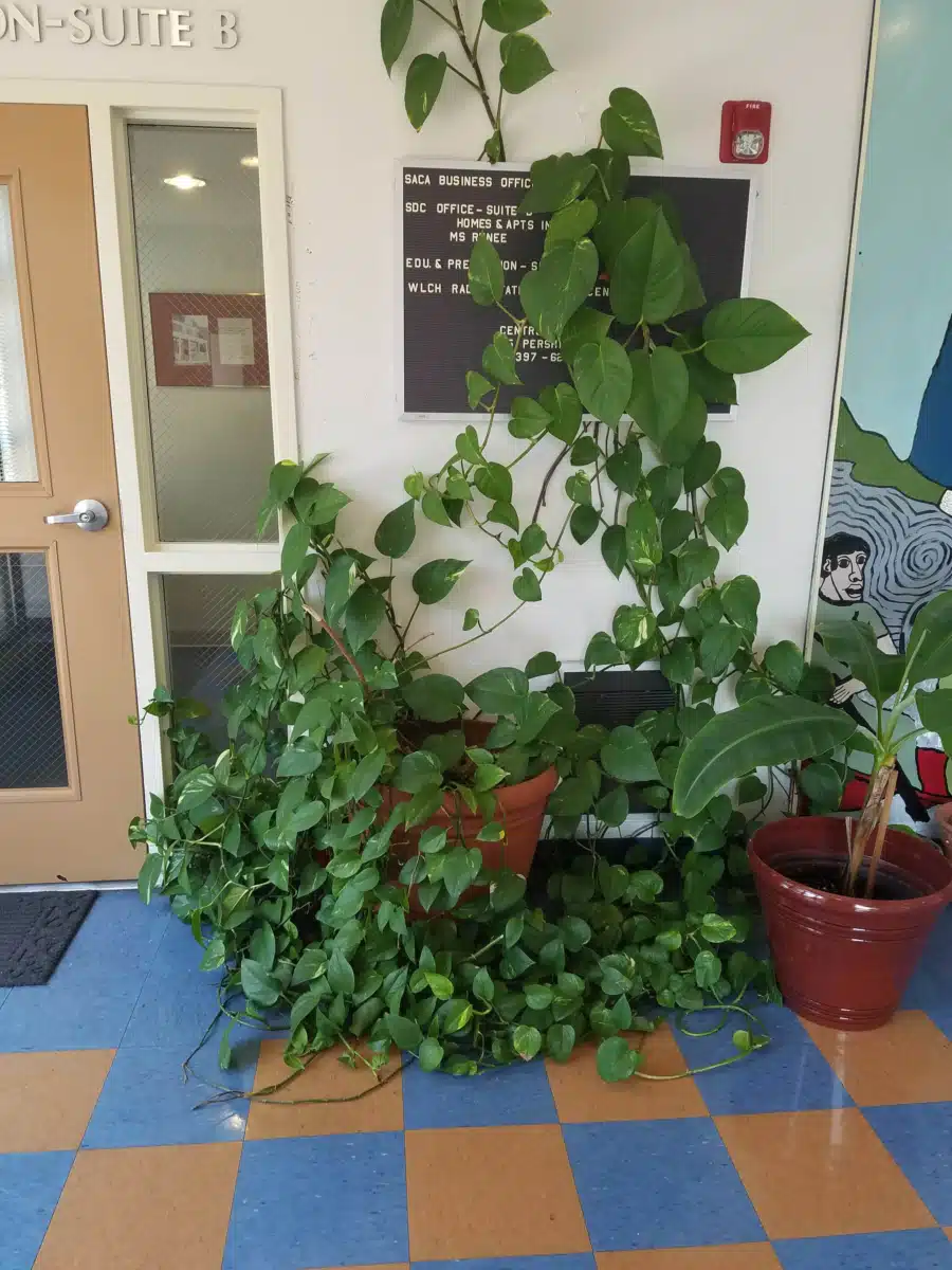 Spanish American Civic Association