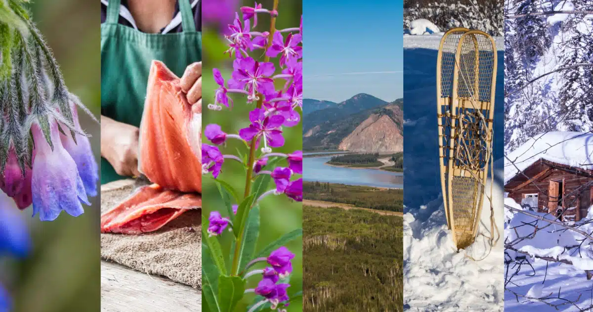 Tanana Chiefs Conference Inc