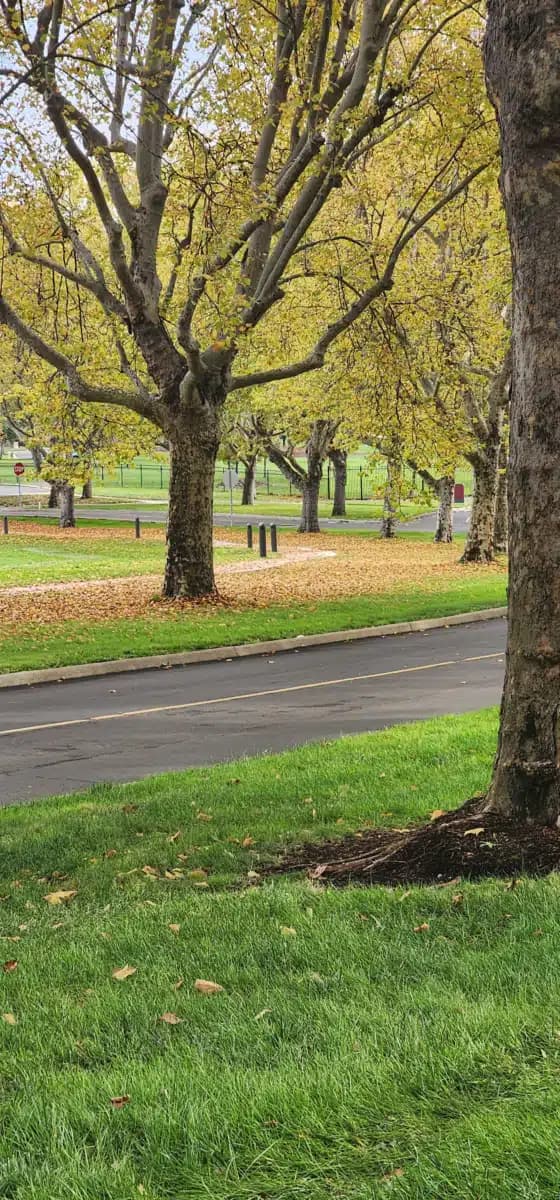 VA Roseburg Healthcare System