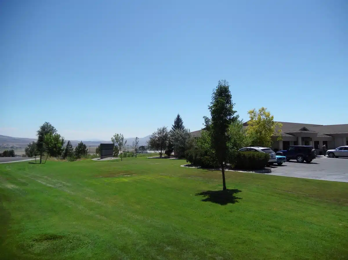 Vitality Integrated Programs Elko